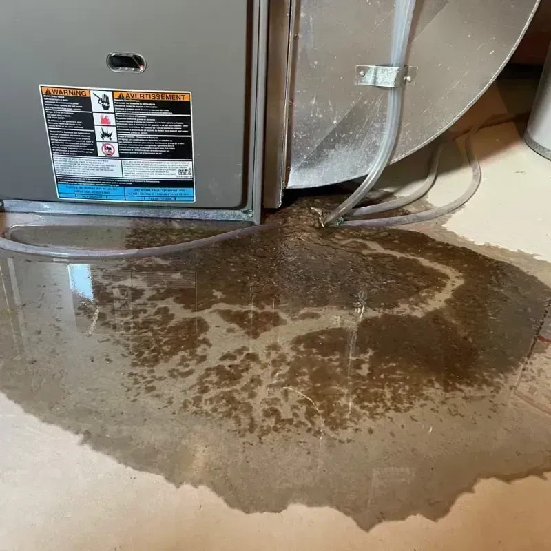 Appliance Leak Cleanup in Ridgecrest, FL